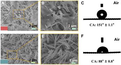 Facile Fabrication of Single-Layer Janus Membrane for Underwater Bubble Unidirectional Transport